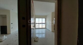 1 bhk in A and O Realty