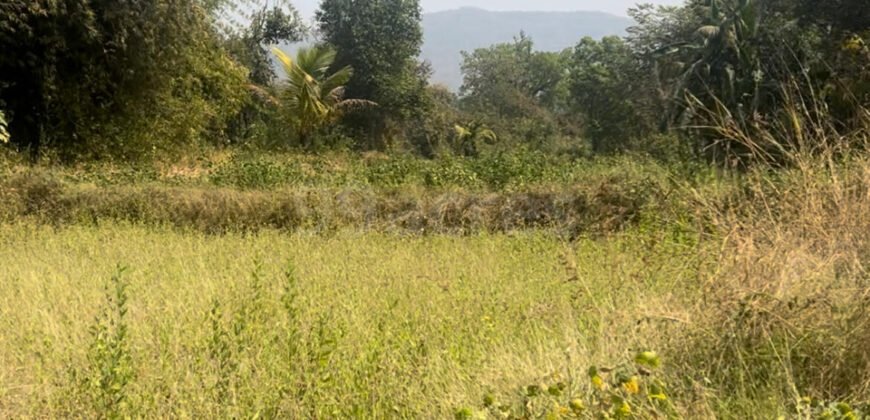 PLOT